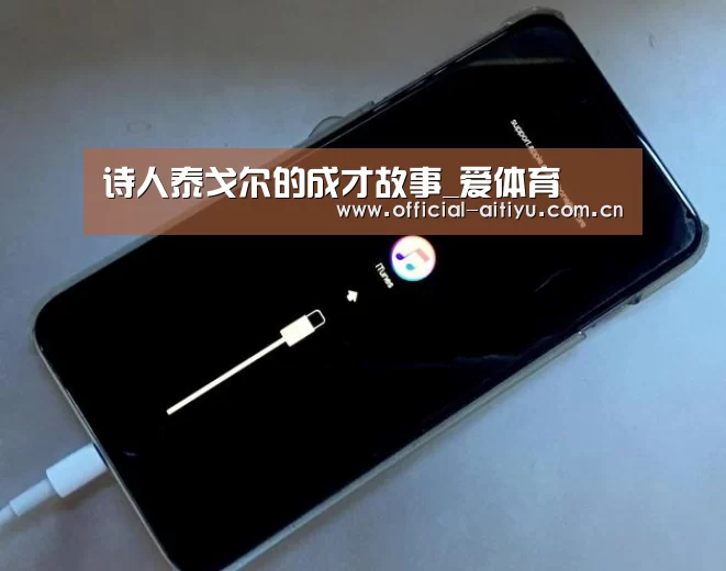诗人泰戈尔的成才故事_爱体育(图1) 爱体育