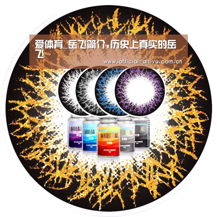 爱体育_岳飞简介,历史上真实的岳飞(图1) 爱体育