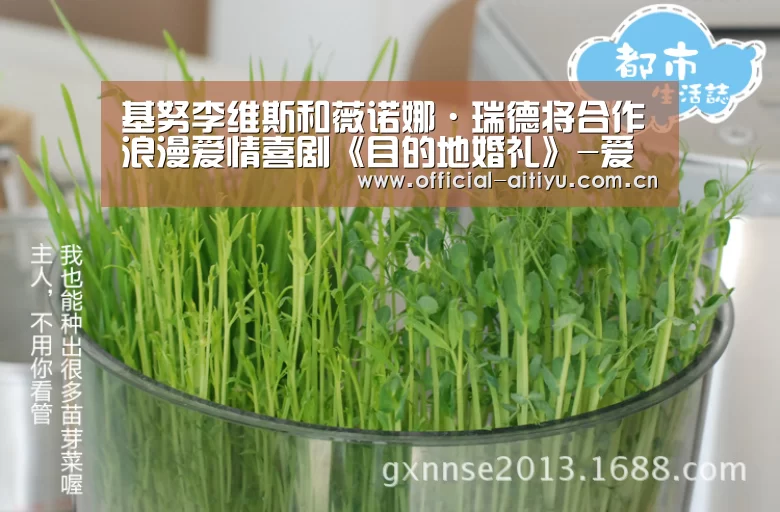 基努李维斯和薇诺娜·瑞德将合作浪漫爱情喜剧《目的地婚礼》-爱体育(图1) 爱体育