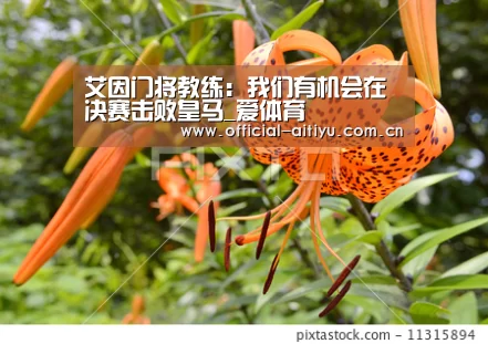 爱体育